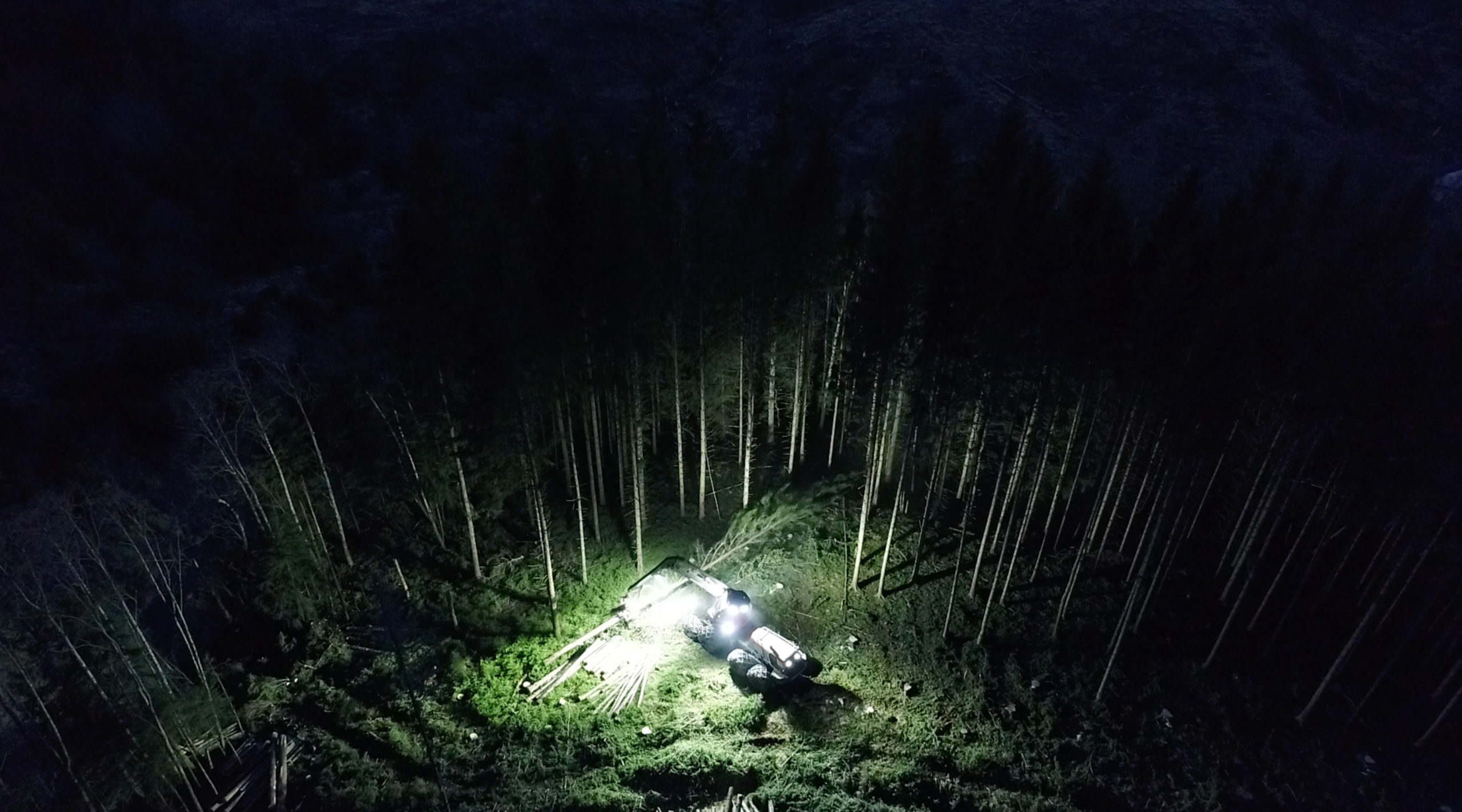 Skog med skogsmaskin som lyser upp natten